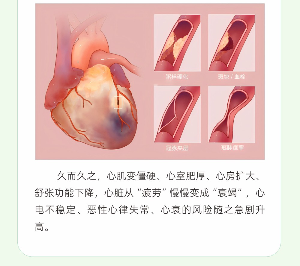 B5关注红细胞寿命，降低猝死风险_05
