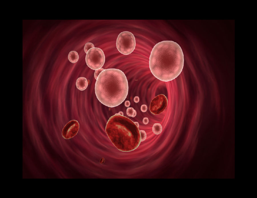 检测红细胞寿命——阳康后的“双重保障”，健康无忧