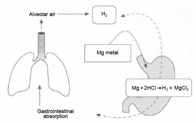 SIBO诊断：H2呼气实验